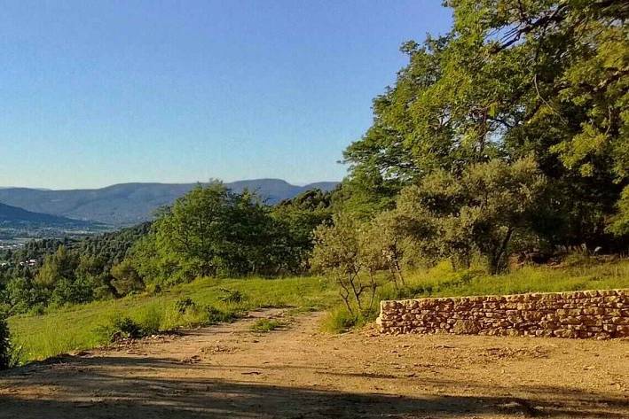 Panorama en pleine nature