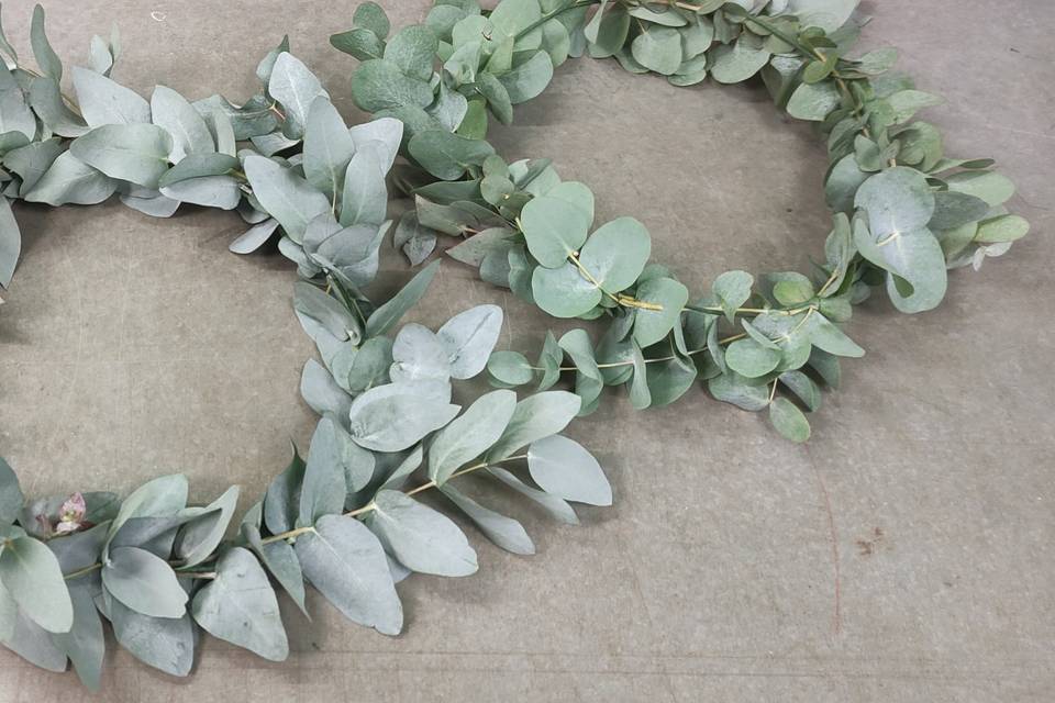 Couronne d'eucalyptus