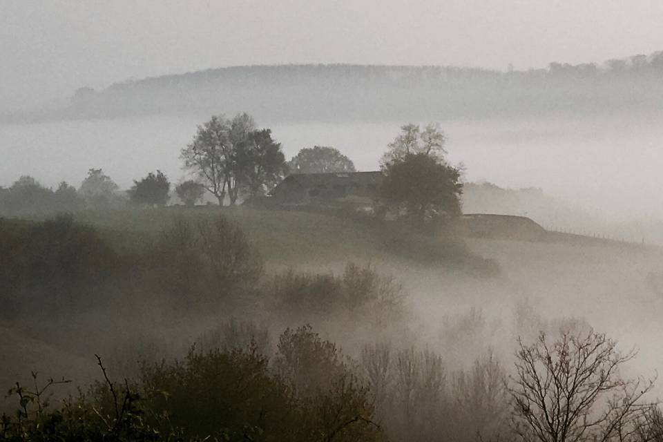 Brume matinale