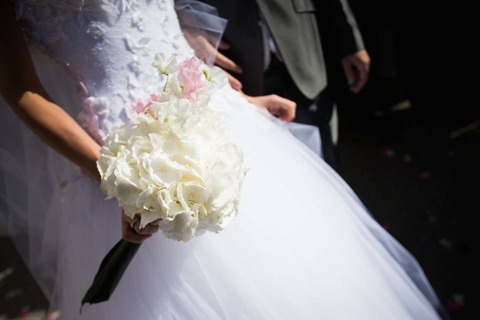 Mariage Rhône-Alpes