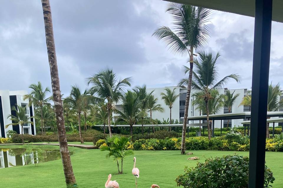Jardin Punta cana
