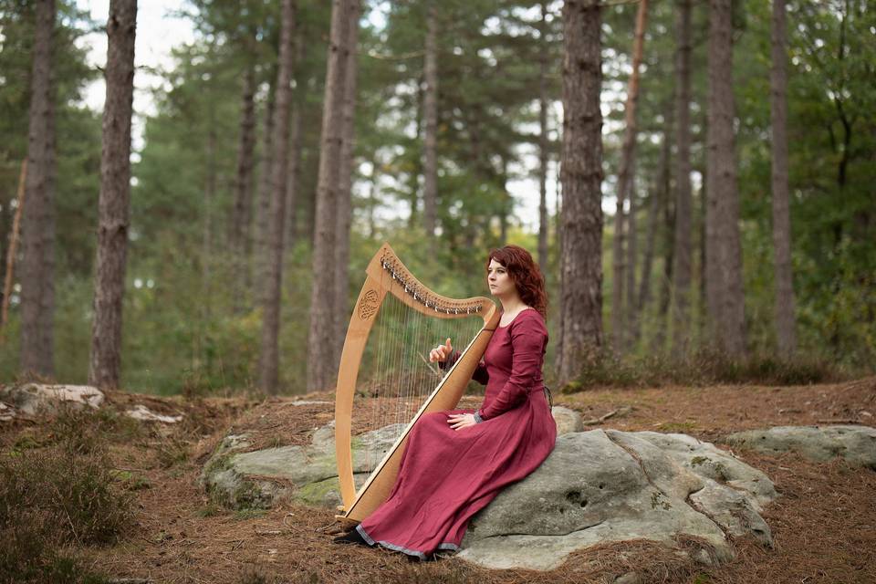 Telennaria - Harpe & chant