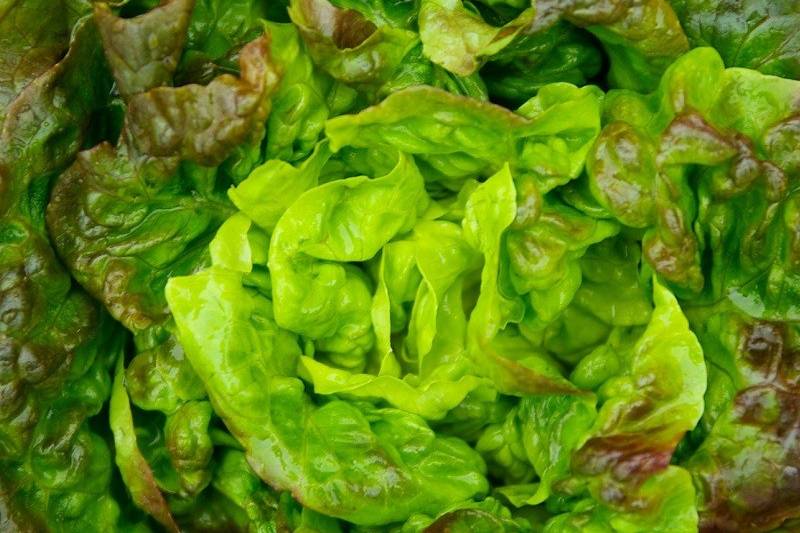 Douce salade