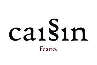 Caissin logo