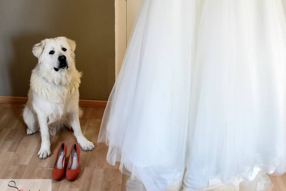 Accessoires mariée