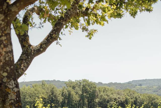 Repas terroir chez le vigneron