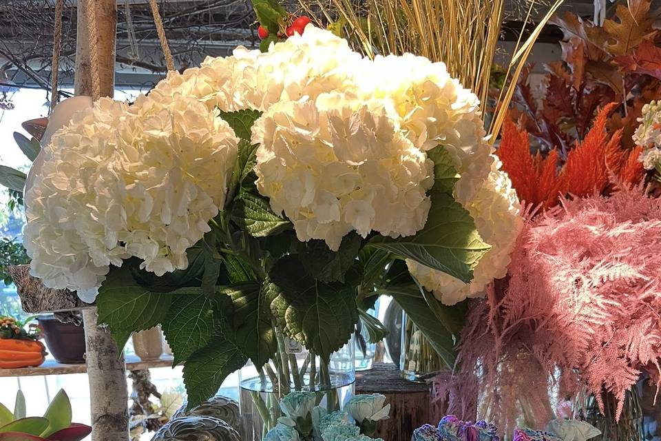 Fleurs