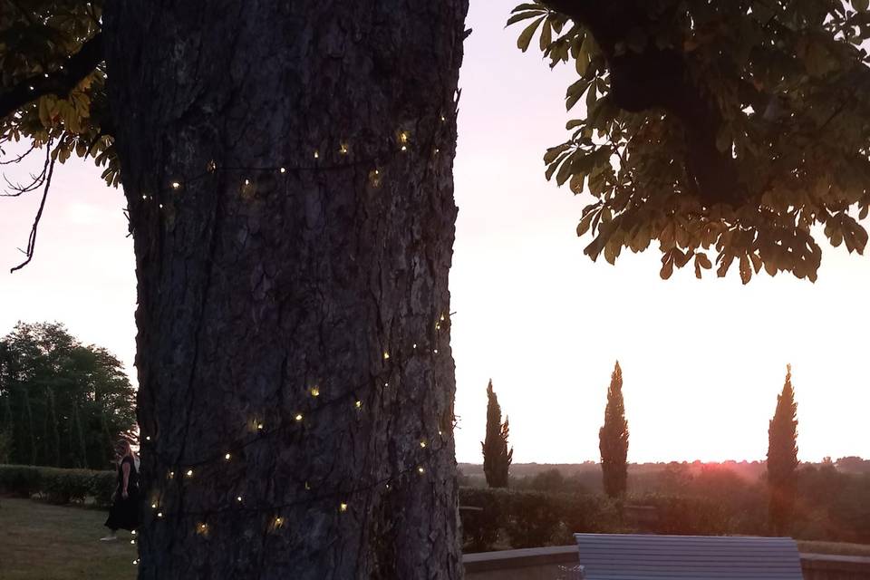 Couché de soleil
