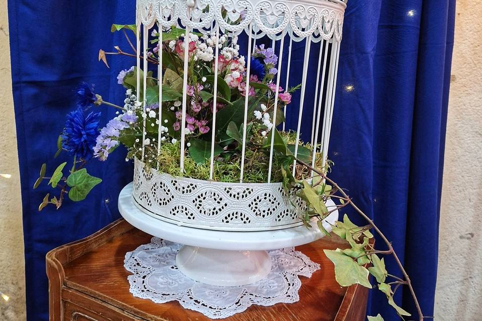 Cage Bridgerton