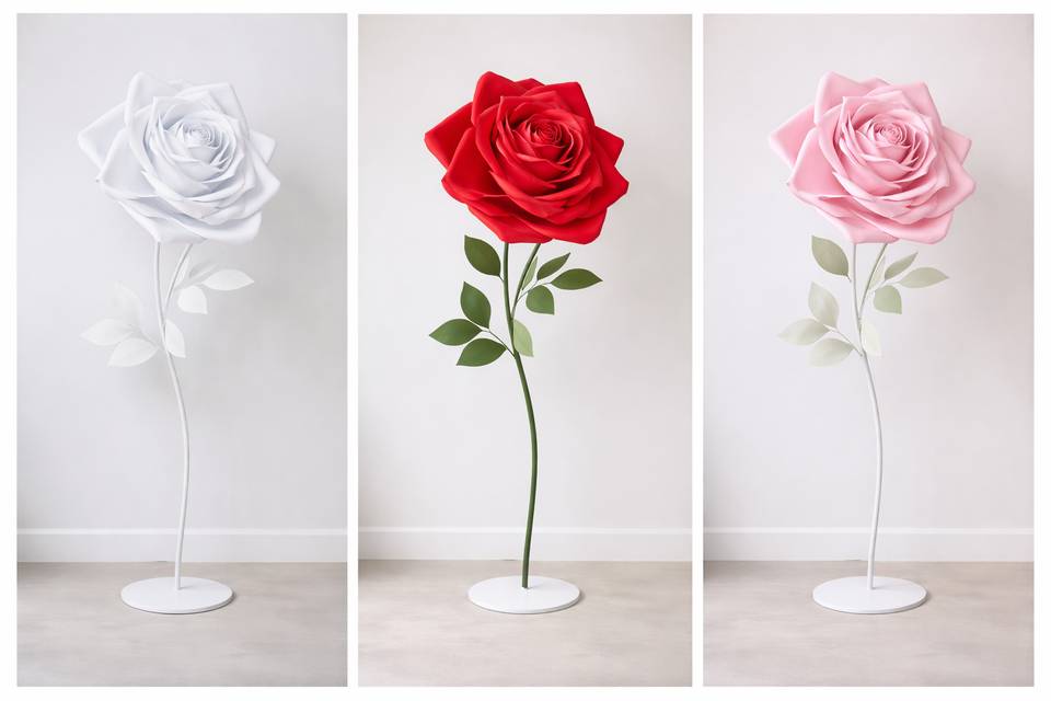3 coloris de rose XXL