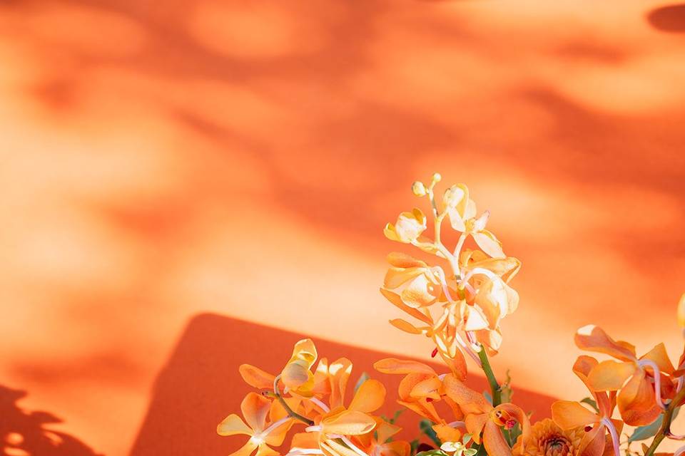 Orange is the new black