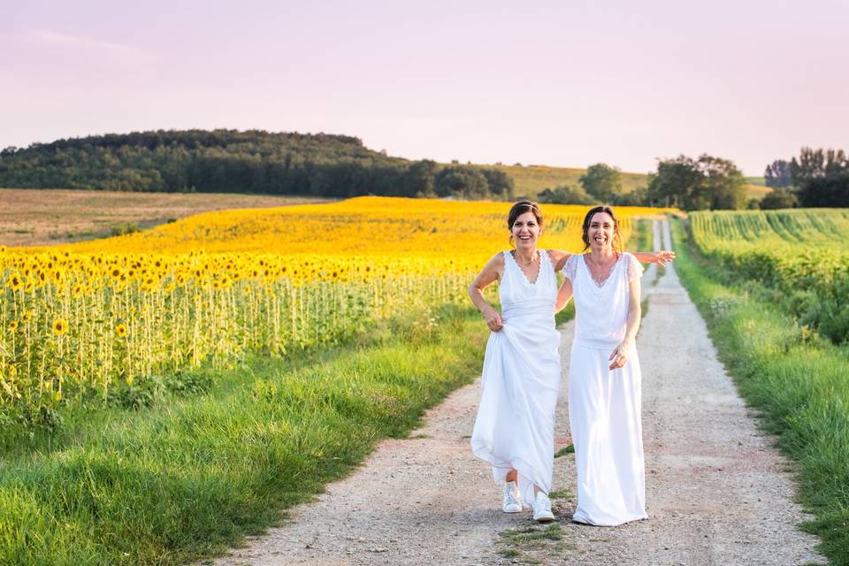 Tournesols et rigolades