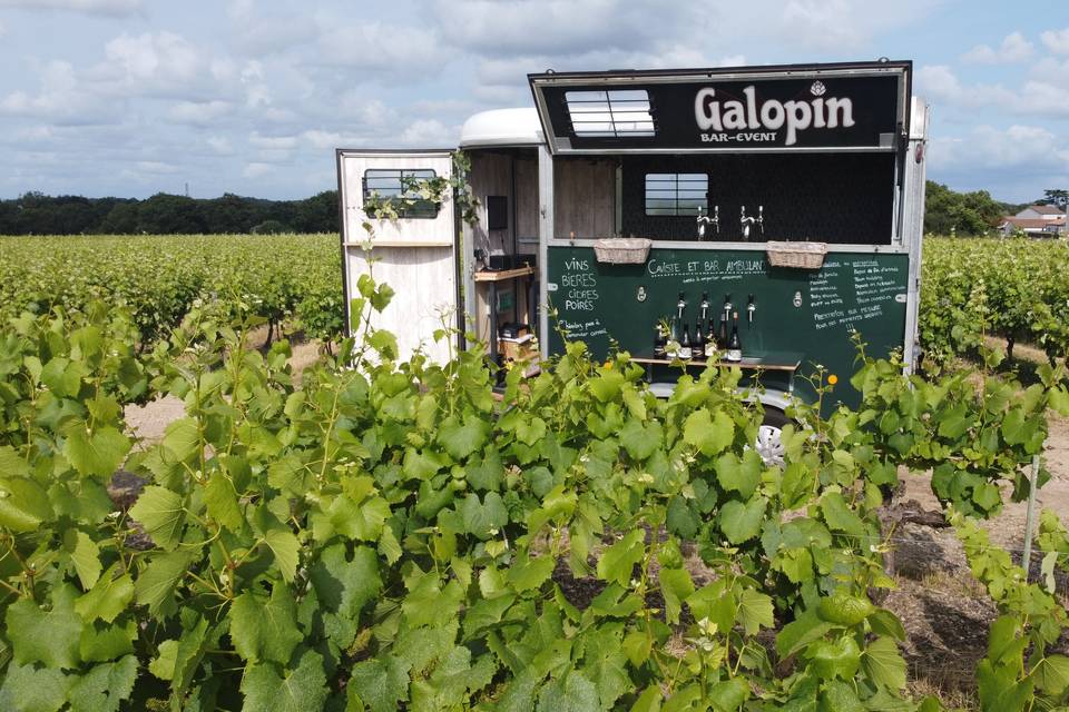 Galopin