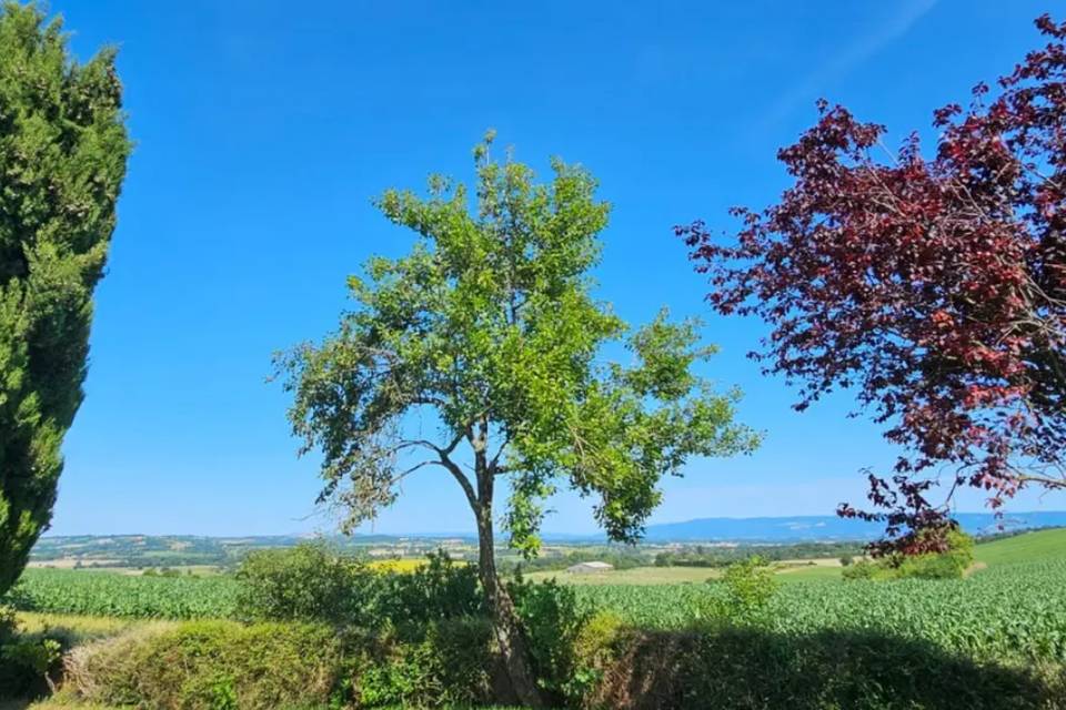 Campagne