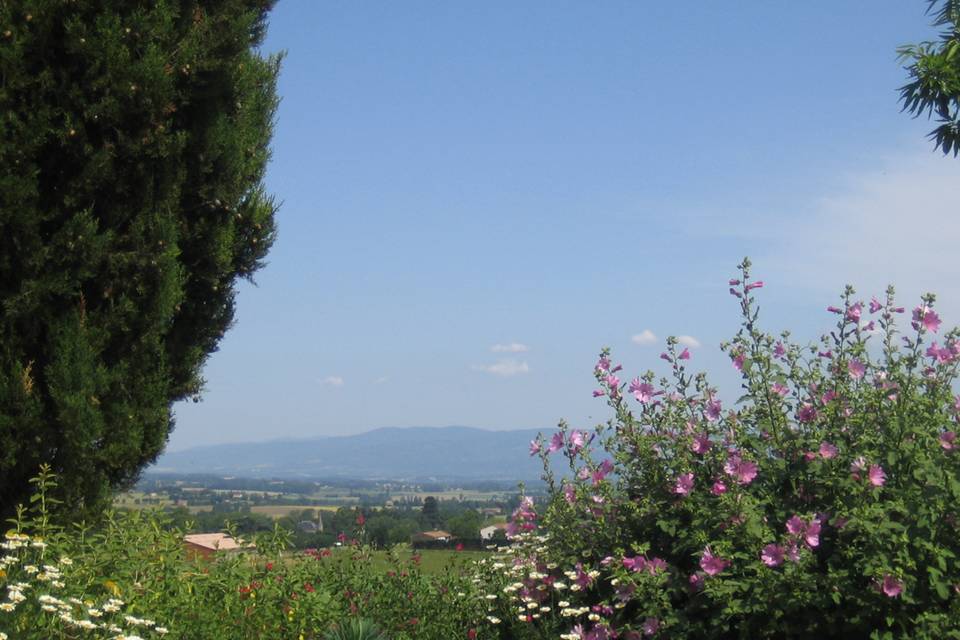 Environ