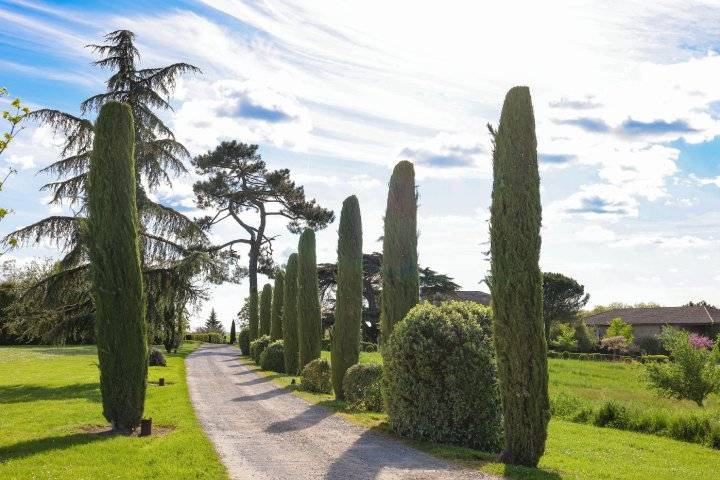 Allée arrivée