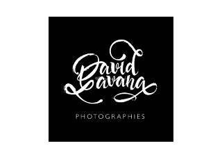 Logo david lavana