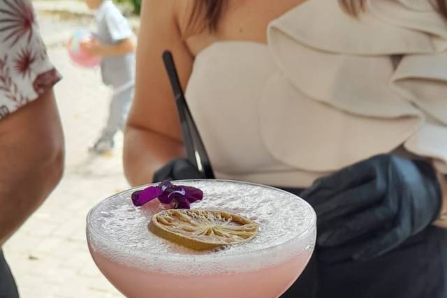 Cocktail Rose Velour