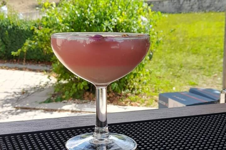 Cocktail Rose Velour