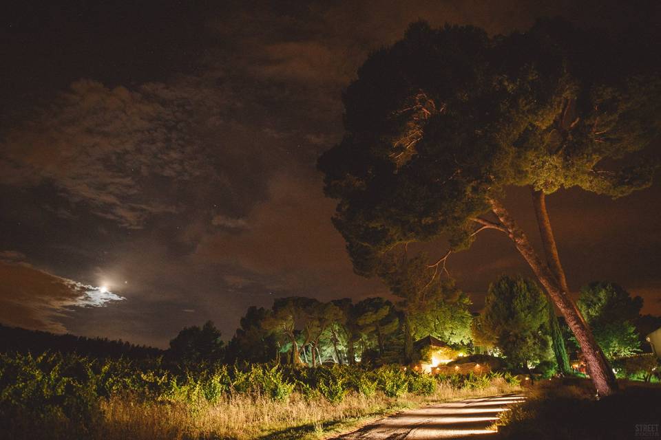 Le domaine de nuit