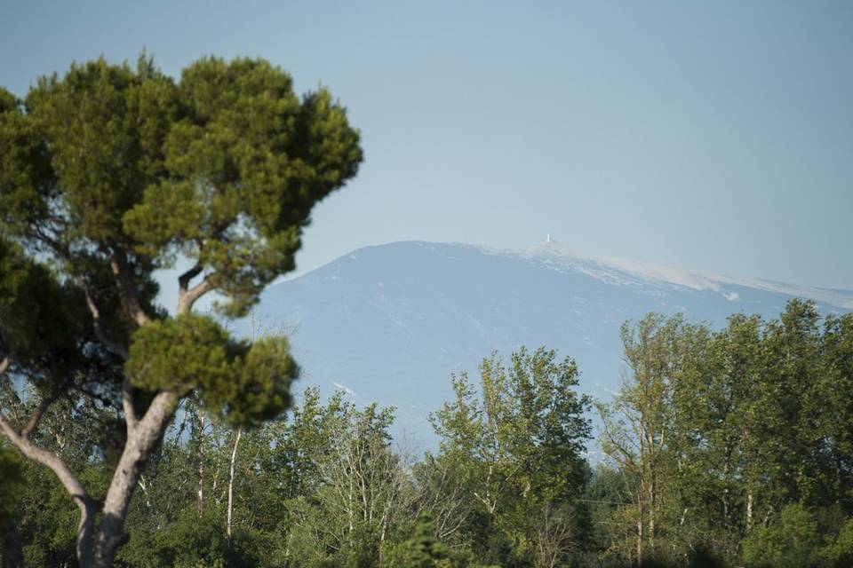 Vue sur le Mont Ventoux