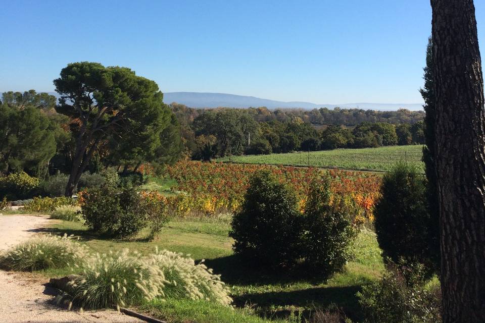 Vue sur domaine