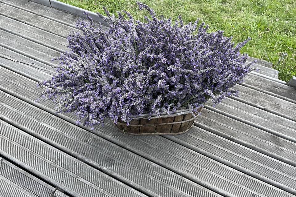 Bouquet de lavande