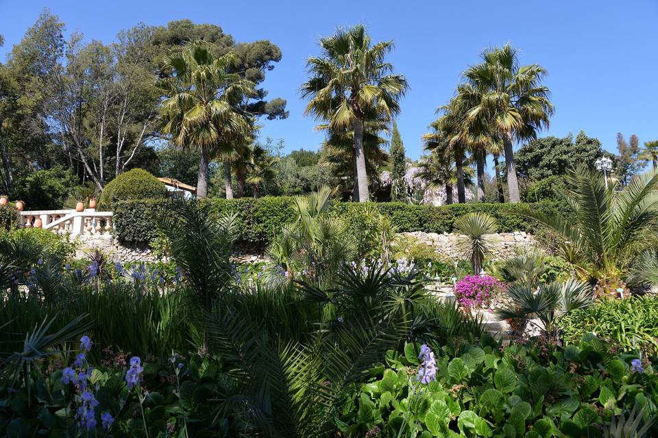 Les Pins Penchés – Le Château de la Clapière