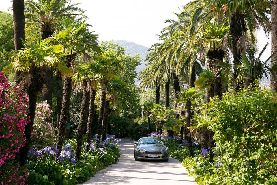 Les Pins Penchés – Le Château de la Clapière