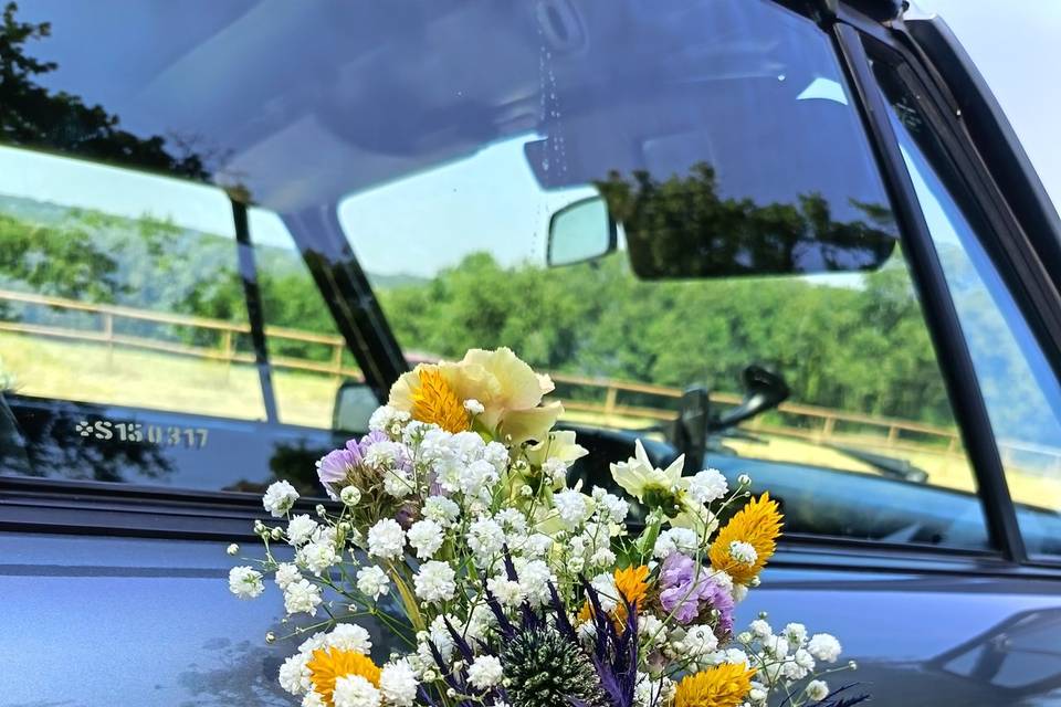 Poignées de voiture