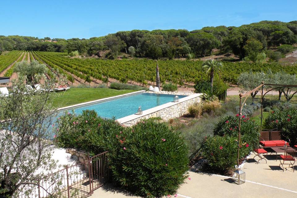 La piscine, le vignoble