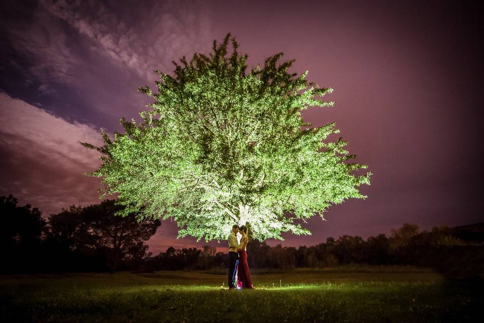 Arbre pré