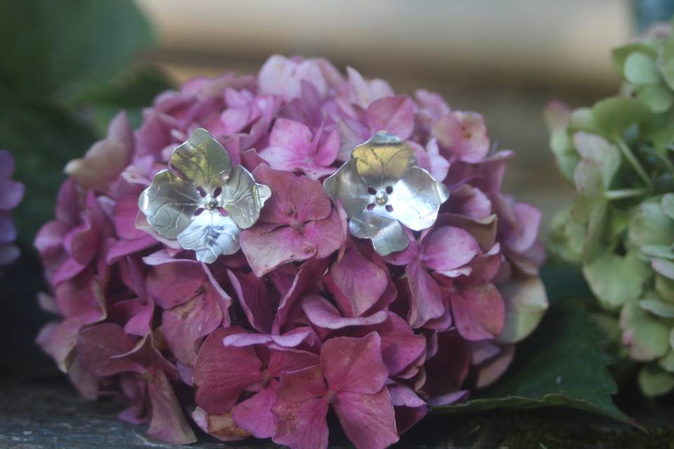 Boucles hortensia