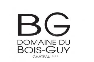 Logo Château du Bois-Guy