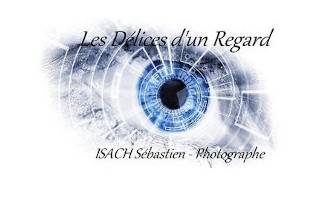 Logo les Délices d'un regard