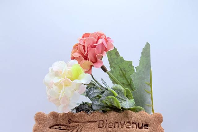 Biscuit bienvenue