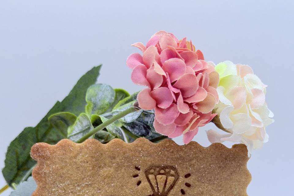 Biscuit alliance initiale