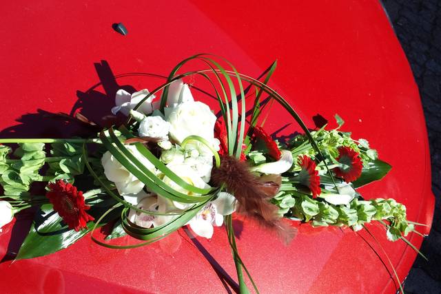 Décors de voiture