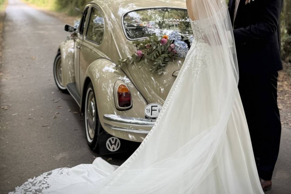Coccinelle 1969