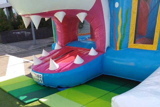 Structure requin