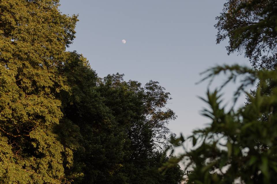 Une jolie lumière et la lune