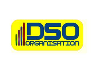 DSO Organisation logo