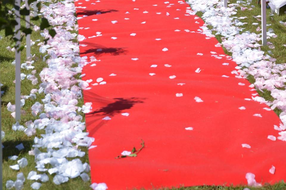 Tapis rouge