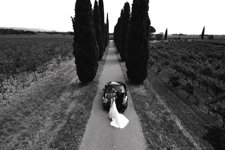 Des mariés dans l'allée
