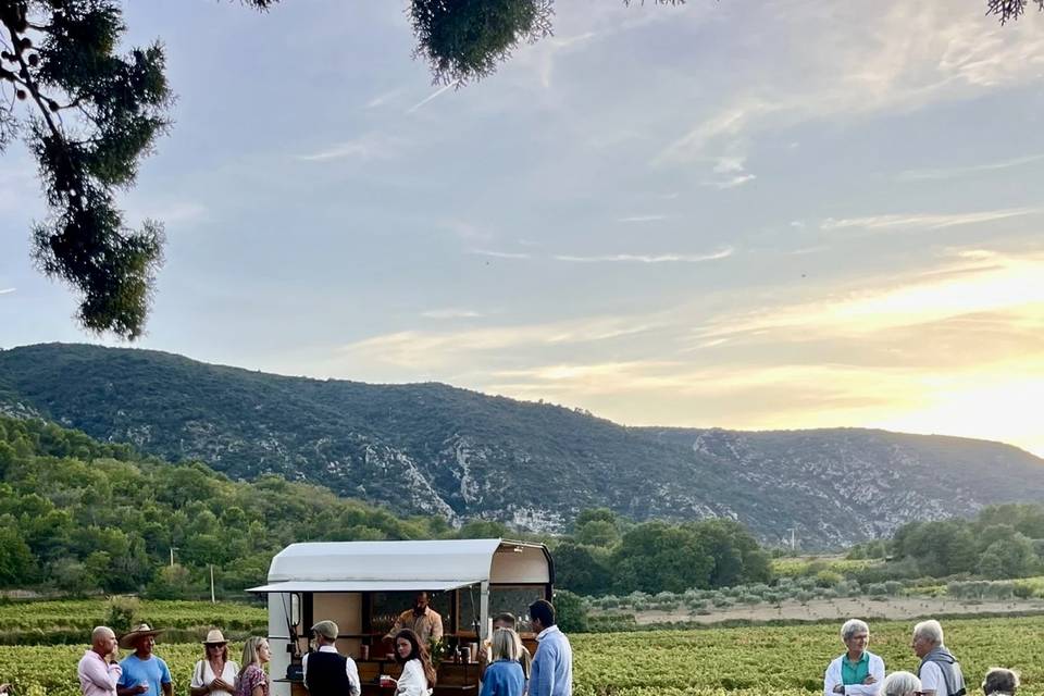 Sunset cocktails