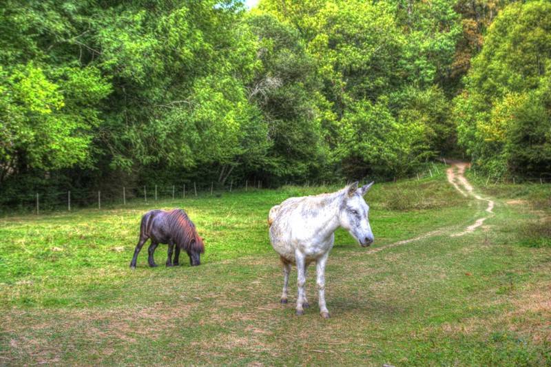 La Bastide d'Albignac