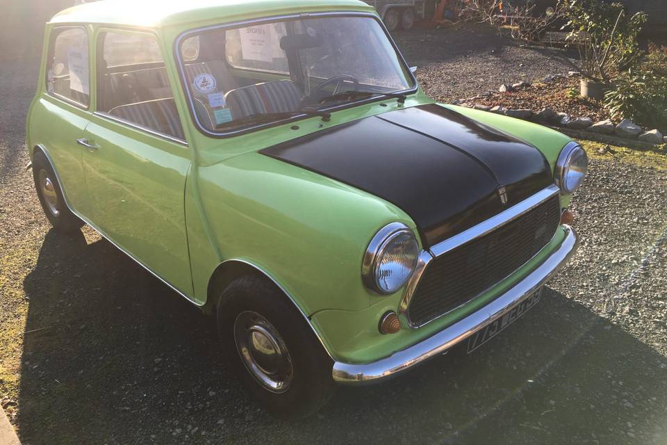 MINI