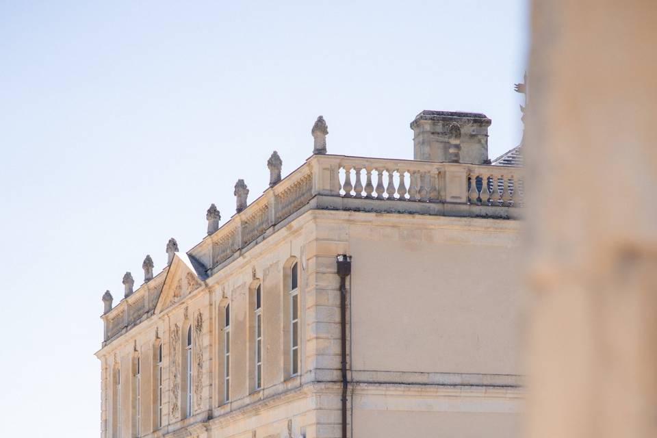 Photographe mariage château