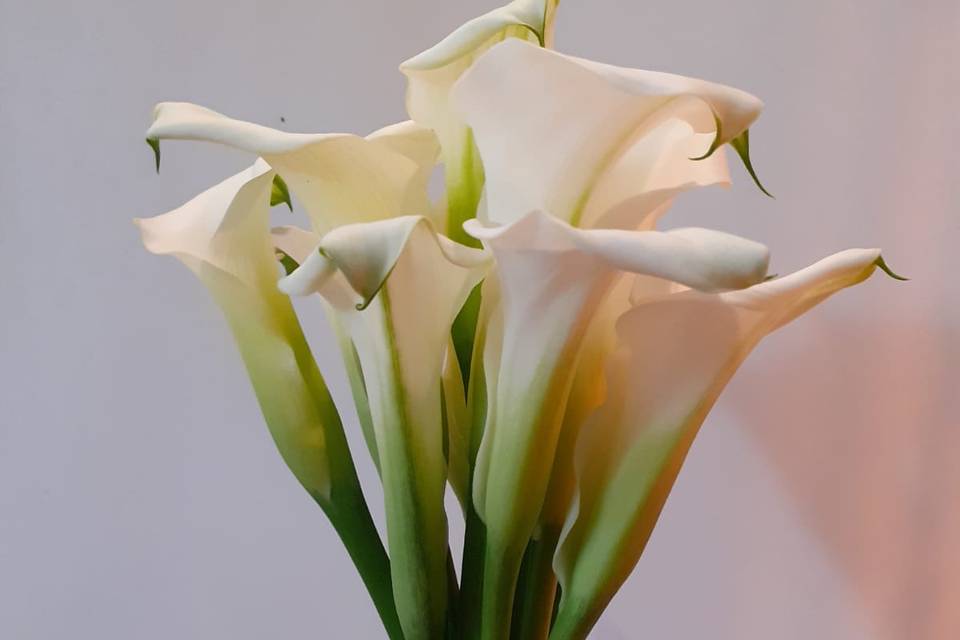 Bouquet calla