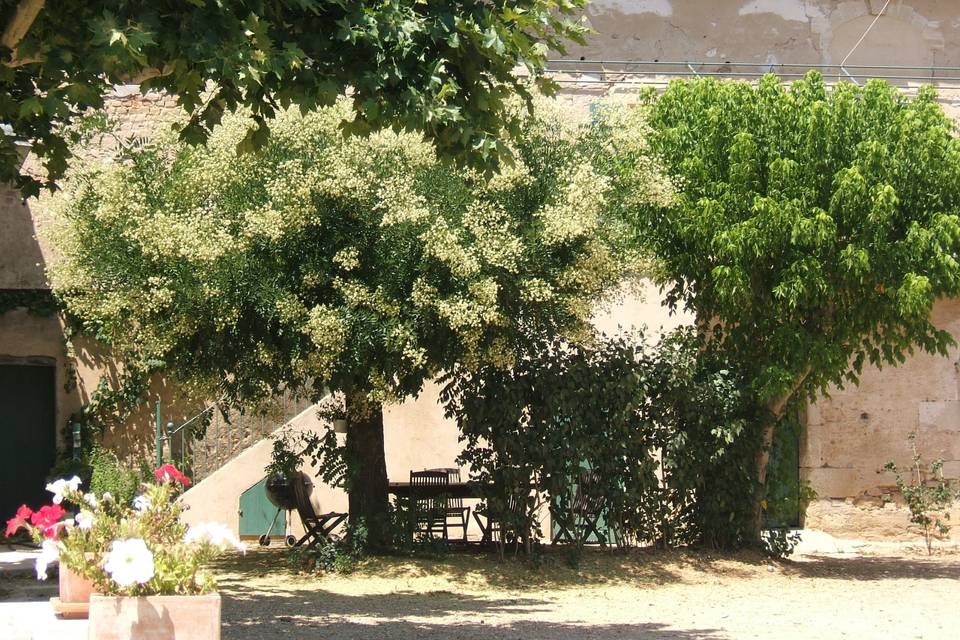 Coin de verdure